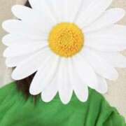 さやか こんにちは 胡蝶蘭