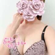 ヒメ日記 2025/12/22 16:13 投稿 星香/せいか ANEJE～アネージュ池袋～(ユメオト)