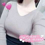 ヒメ日記 2026/04/03 15:06 投稿 星香/せいか ANEJE～アネージュ池袋～(ユメオト)