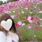 ヒメ日記 2025/11/13 00:02 投稿 冬月 ゆのん Men's relaxation VEGA