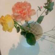 ヒメ日記 2026/04/14 13:49 投稿 潮風　あお モデルコレクション 五反田店