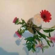 ヒメ日記 2026/04/16 17:15 投稿 潮風　あお モデルコレクション 五反田店