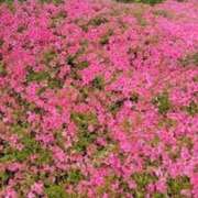 ヒメ日記 2026/04/29 16:19 投稿 潮風　あお モデルコレクション 五反田店