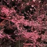 ヒメ日記 2025/03/30 21:56 投稿 まあさ もしも優しいお姉さんが本気になったら...横浜店