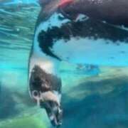 ヒメ日記 2026/03/11 22:49 投稿 まあさ もしも優しいお姉さんが本気になったら...横浜店