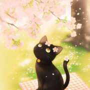 ヒメ日記 2025/03/10 14:11 投稿 ことこ 熟女家 東大阪店（布施・長田）