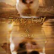 ヒメ日記 2024/12/16 08:03 投稿 猫乃みひろ イエスグループ熊本 華女