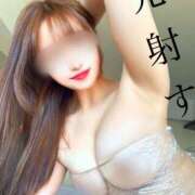 ヒメ日記 2025/03/19 16:25 投稿 ヒカリサス～光射す～ GOOD-グッド-