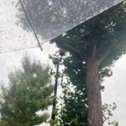 ヒメ日記 2025/07/14 16:42 投稿 ヒカリサス～光射す～ GOOD-グッド-