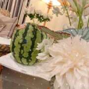 ヒメ日記 2025/08/11 11:28 投稿 ヒカリサス～光射す～ GOOD-グッド-