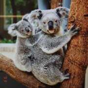 ヒメ日記 2026/03/02 15:43 投稿 ヒカリサス～光射す～ GOOD-グッド-