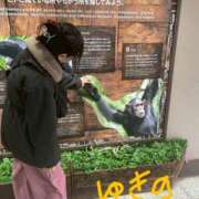 ゆきの １２時３０〜ラスト 成田人妻花壇