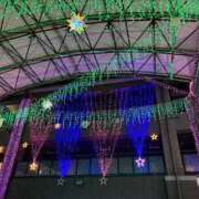 ヒメ日記 2024/12/11 22:55 投稿 ももこ 宮崎ちゃんこ都城店