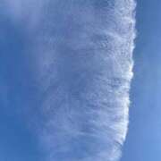 ヒメ日記 2024/12/15 10:31 投稿 ももこ 宮崎ちゃんこ都城店