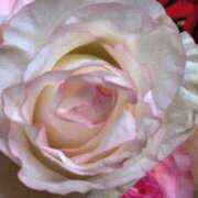 ヒメ日記 2025/01/22 09:05 投稿 ももこ 宮崎ちゃんこ都城店