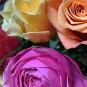 ヒメ日記 2025/02/20 07:00 投稿 ももこ 宮崎ちゃんこ都城店