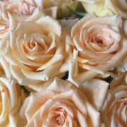 ヒメ日記 2025/02/25 07:25 投稿 ももこ 宮崎ちゃんこ都城店