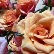 ヒメ日記 2025/02/27 08:15 投稿 ももこ 宮崎ちゃんこ都城店