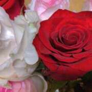 ヒメ日記 2025/04/23 08:05 投稿 ももこ 宮崎ちゃんこ都城店