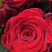 ヒメ日記 2025/05/29 07:05 投稿 ももこ 宮崎ちゃんこ都城店