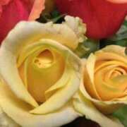 ヒメ日記 2025/06/03 07:15 投稿 ももこ 宮崎ちゃんこ都城店