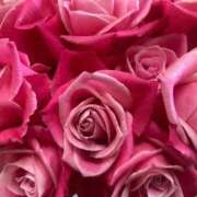 ヒメ日記 2025/06/04 07:05 投稿 ももこ 宮崎ちゃんこ都城店