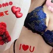 ヒメ日記 2025/06/04 13:25 投稿 ももこ 宮崎ちゃんこ都城店