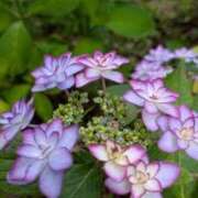 ヒメ日記 2025/06/10 08:15 投稿 ももこ 宮崎ちゃんこ都城店