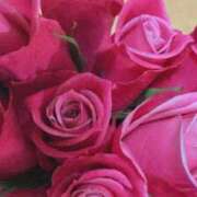 ヒメ日記 2025/06/12 07:15 投稿 ももこ 宮崎ちゃんこ都城店