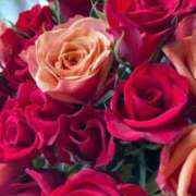 ヒメ日記 2025/12/12 07:00 投稿 ももこ 宮崎ちゃんこ都城店