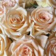 ヒメ日記 2025/12/13 07:05 投稿 ももこ 宮崎ちゃんこ都城店