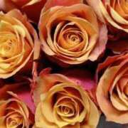 ももこ おはようございます🌺 宮崎ちゃんこ都城店