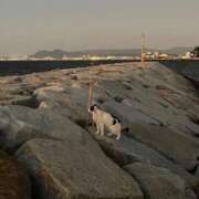 ヒメ日記 2025/10/15 20:33 投稿 友-TOMO- luxury aroma 咲