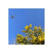 ヒメ日記 2026/03/15 23:28 投稿 友-TOMO- luxury aroma 咲