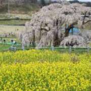 ヒメ日記 2025/04/11 23:14 投稿 さゆり おいしい奥様