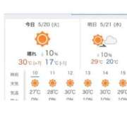 ヒメ日記 2025/05/20 12:51 投稿 さゆり おいしい奥様