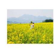 ヒメ日記 2025/06/13 13:23 投稿 さゆり おいしい奥様