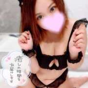 ヒメ日記 2025/04/12 12:26 投稿 すず チューリップ福井別館