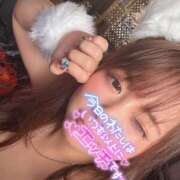 ヒメ日記 2025/07/10 16:18 投稿 すず チューリップ福井別館