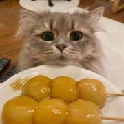 ヒメ日記 2025/04/09 09:34 投稿 さきちゃん もう！本物じゃなきゃ満足出来ない～アンアン吠える女子大生～