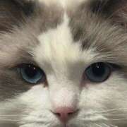 ヒメ日記 2025/08/23 13:45 投稿 すいれん ノース -North-