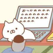 ヒメ日記 2025/02/10 02:28 投稿 りのん 即アポ奥さん〜名古屋店〜