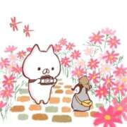 ヒメ日記 2025/03/22 23:51 投稿 りのん 即アポ奥さん〜名古屋店〜