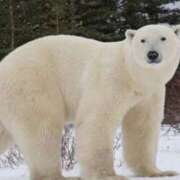 ヒメ日記 2025/06/19 17:01 投稿 りのん 即アポ奥さん〜名古屋店〜