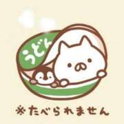 ヒメ日記 2025/08/03 23:21 投稿 りのん 即アポ奥さん〜名古屋店〜