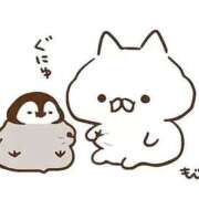 ヒメ日記 2025/08/29 13:11 投稿 りのん 即アポ奥さん〜名古屋店〜