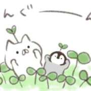 ヒメ日記 2025/09/10 01:56 投稿 りのん 即アポ奥さん〜名古屋店〜