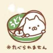 ヒメ日記 2026/05/14 00:19 投稿 りのん 即アポ奥さん〜名古屋店〜