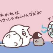 ヒメ日記 2026/05/16 00:27 投稿 りのん 即アポ奥さん〜名古屋店〜