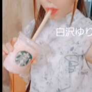 ヒメ日記 2025/02/12 21:39 投稿 白沢ゆり Mrs. Dandy